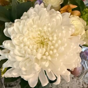 Meet your Posher, Blaire